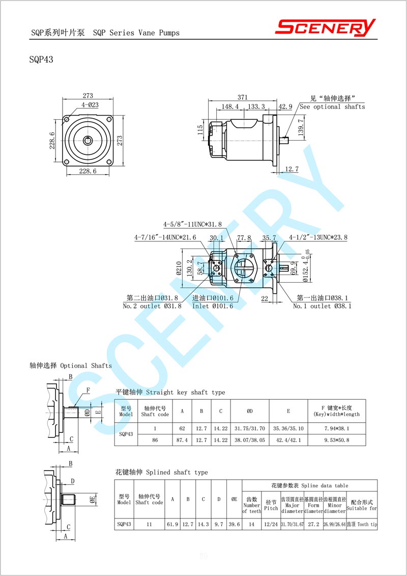 油压机叶片泵结构.jpg